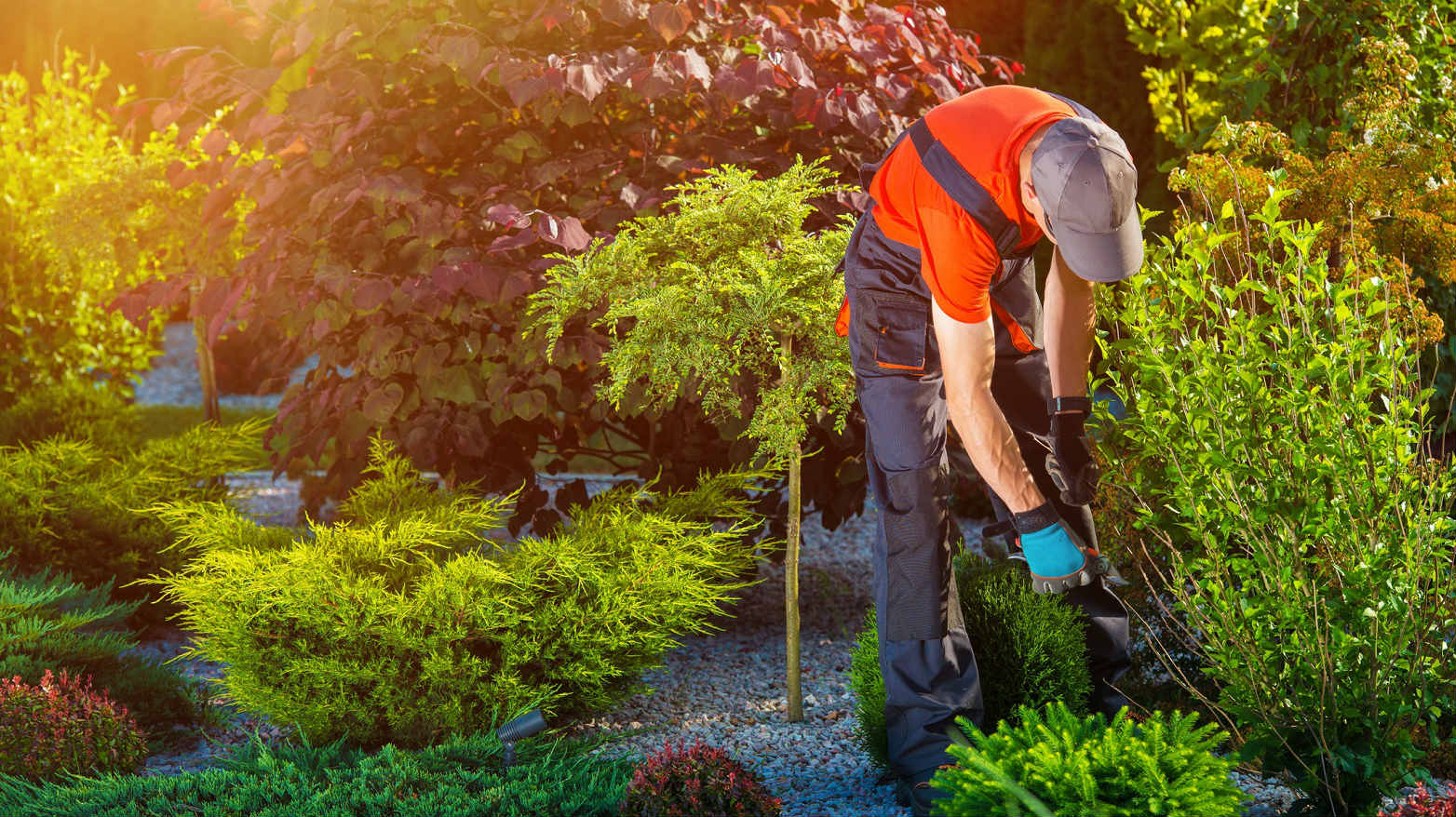 Get our residential landscaping services near you residential landscaping services